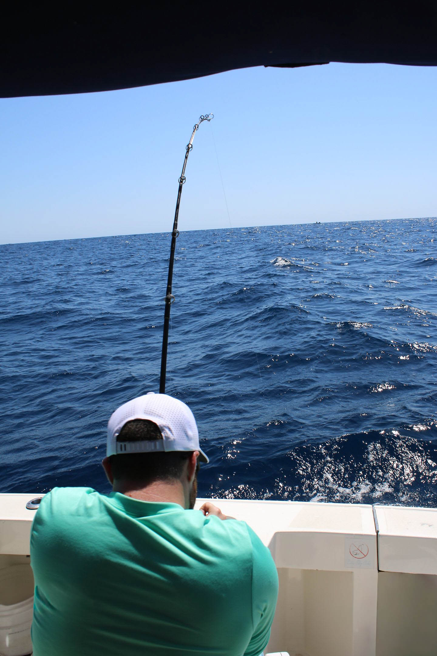 Can I Charter a Private Yacht for Cabo San Lucas Fishing