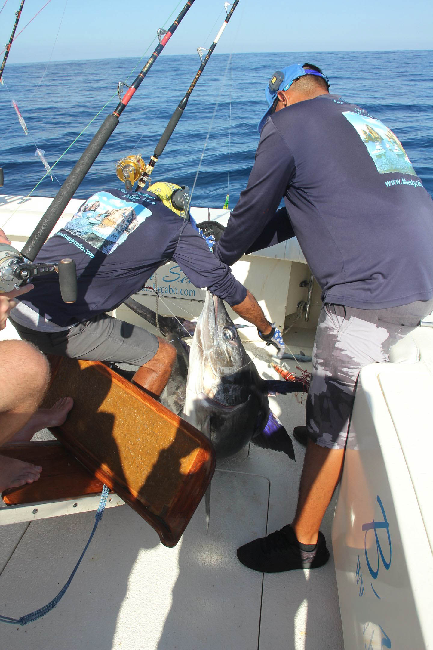 Can I Learn to Fish on a Cabo San Lucas Fishing Charter