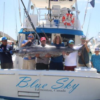 Do Cabo Fishing Charters Guarantee Marlin