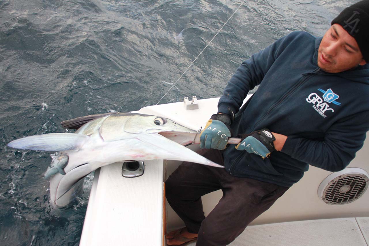 How Are Sea Conditions Around Cabo in February for Offshore Fishing