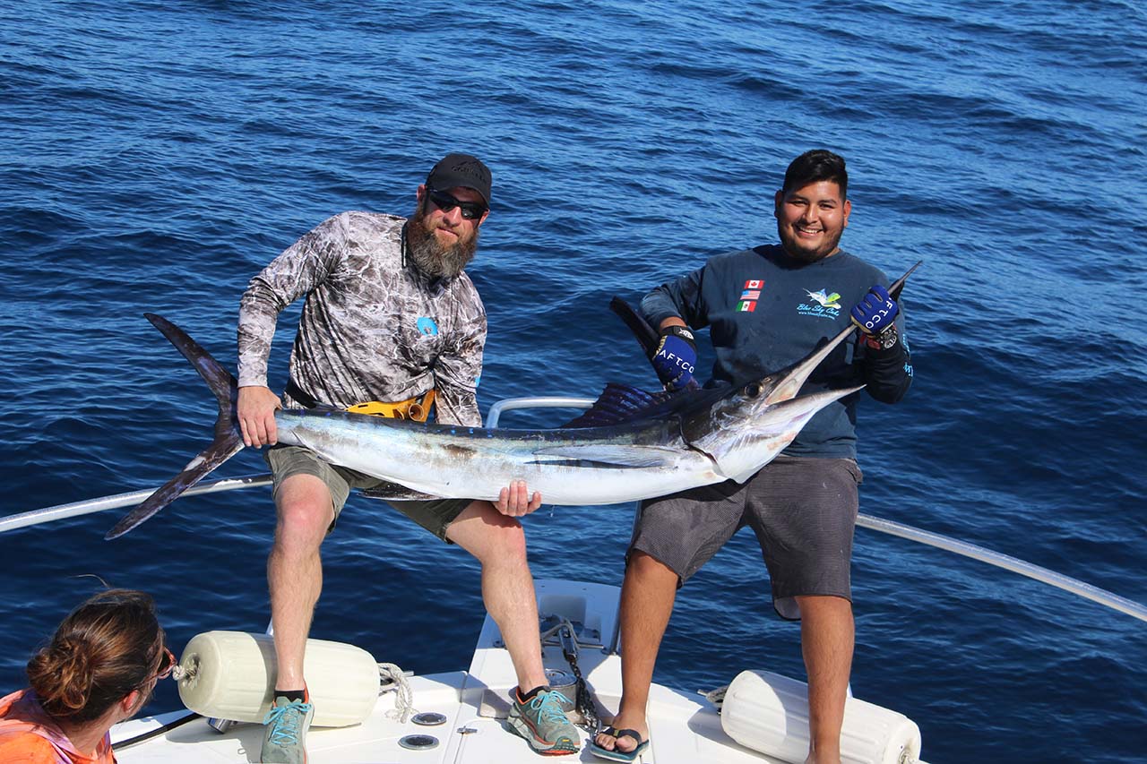 Is Morning or Afternoon Better for Marlin Fishing in Cabo