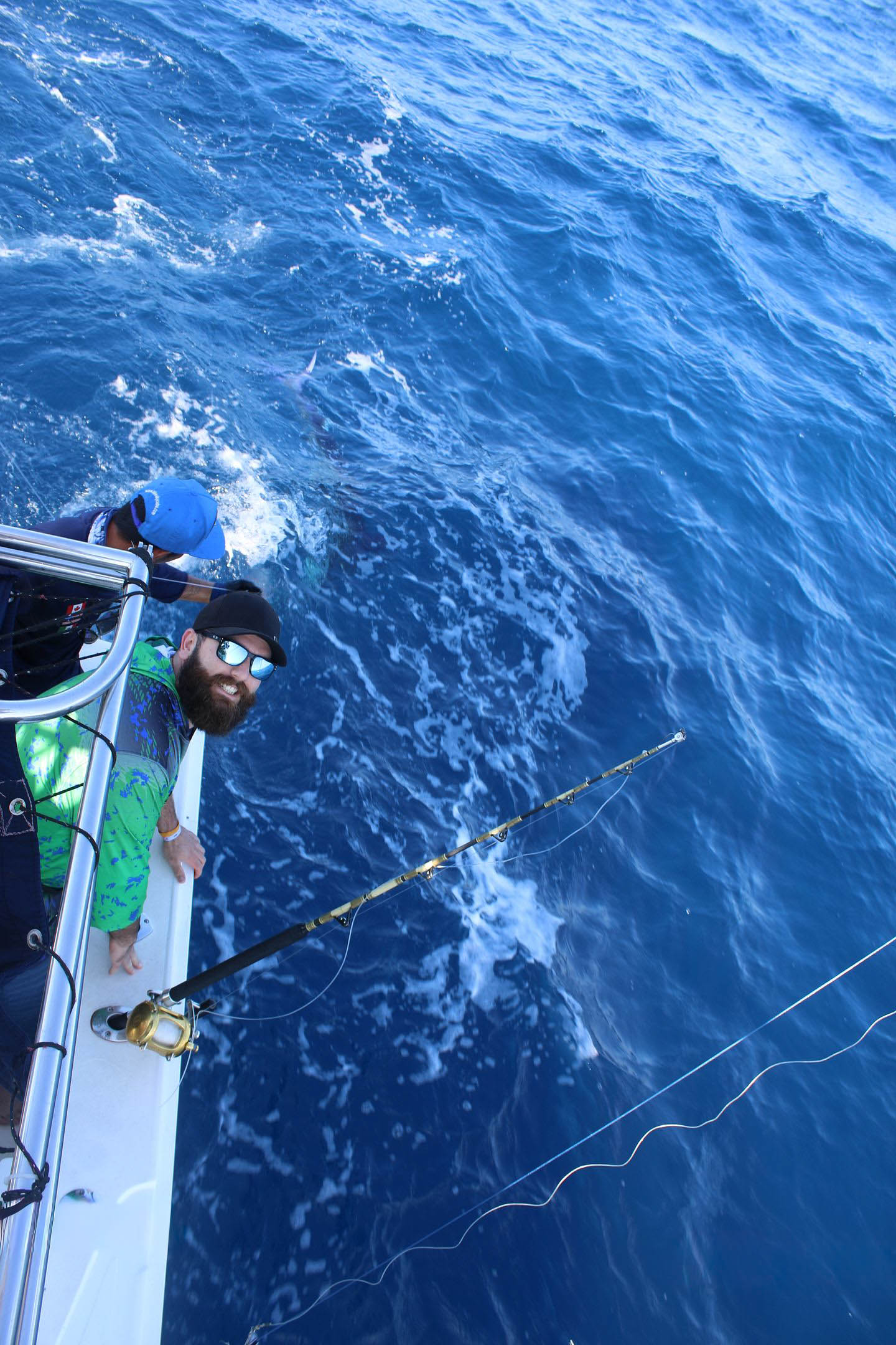 What Are Common Baitfish Used In Cabo San Lucas Fishing