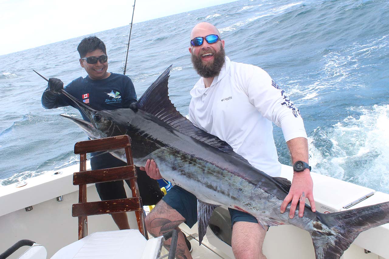 What Is The Average Price To Go Marlin Fishing In Cabo