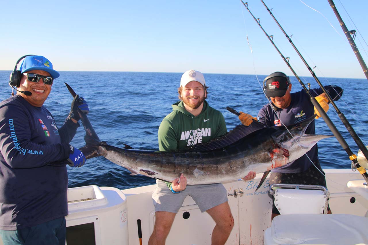 What Is The Average Price To Go Marlin Fishing In Cabo