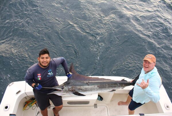 Cabo Fishing February Video