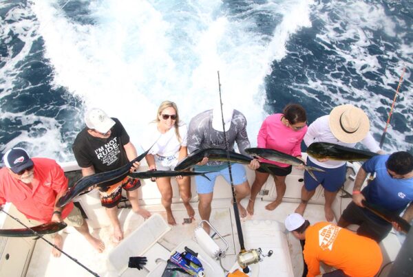 Cabo Fishing Highlights 2025