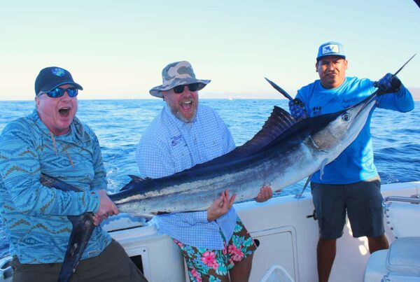 Cabo San Lucas Deep Sea Fishing February