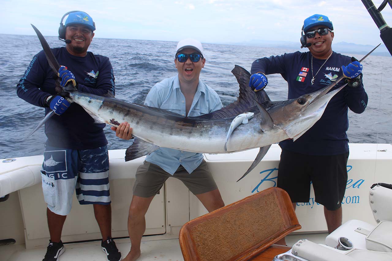 Cabo San Lucas Marlin Action February