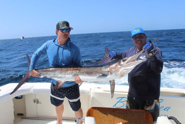 Cabo San Lucas Marlin Action February