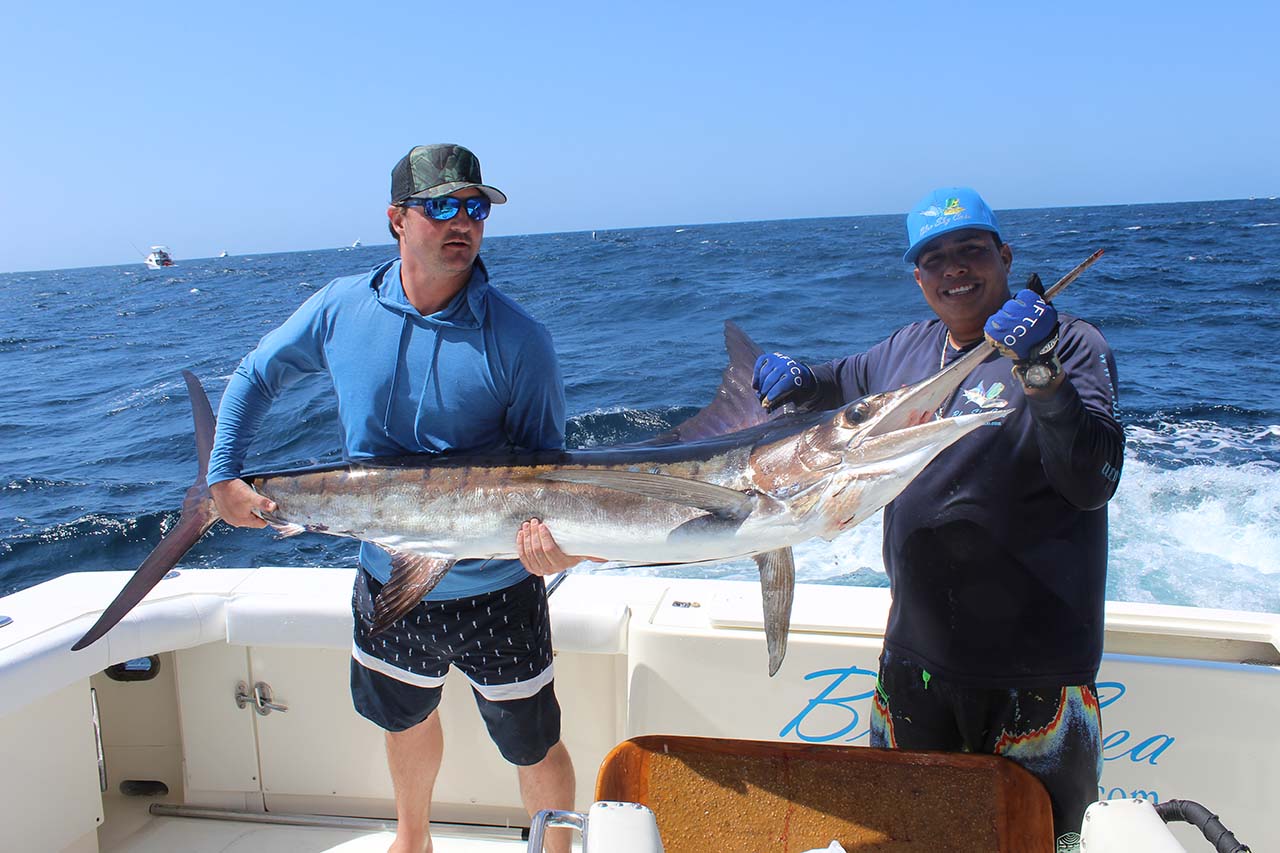 Cabo San Lucas Marlin Action February