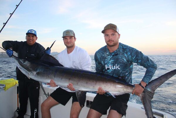 Cabo San Lucas Striped Marlin February