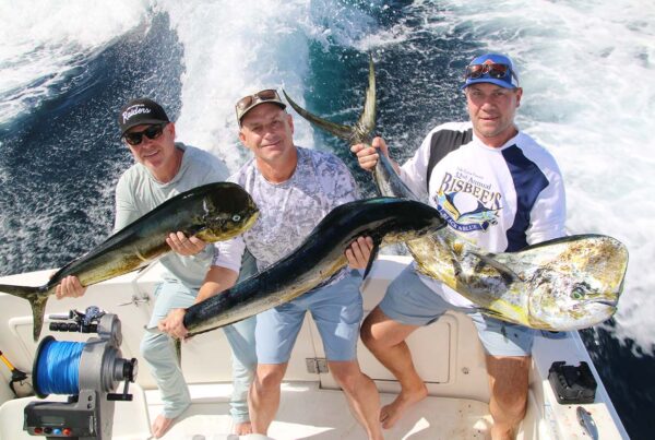 Cabo Sport Fishing February