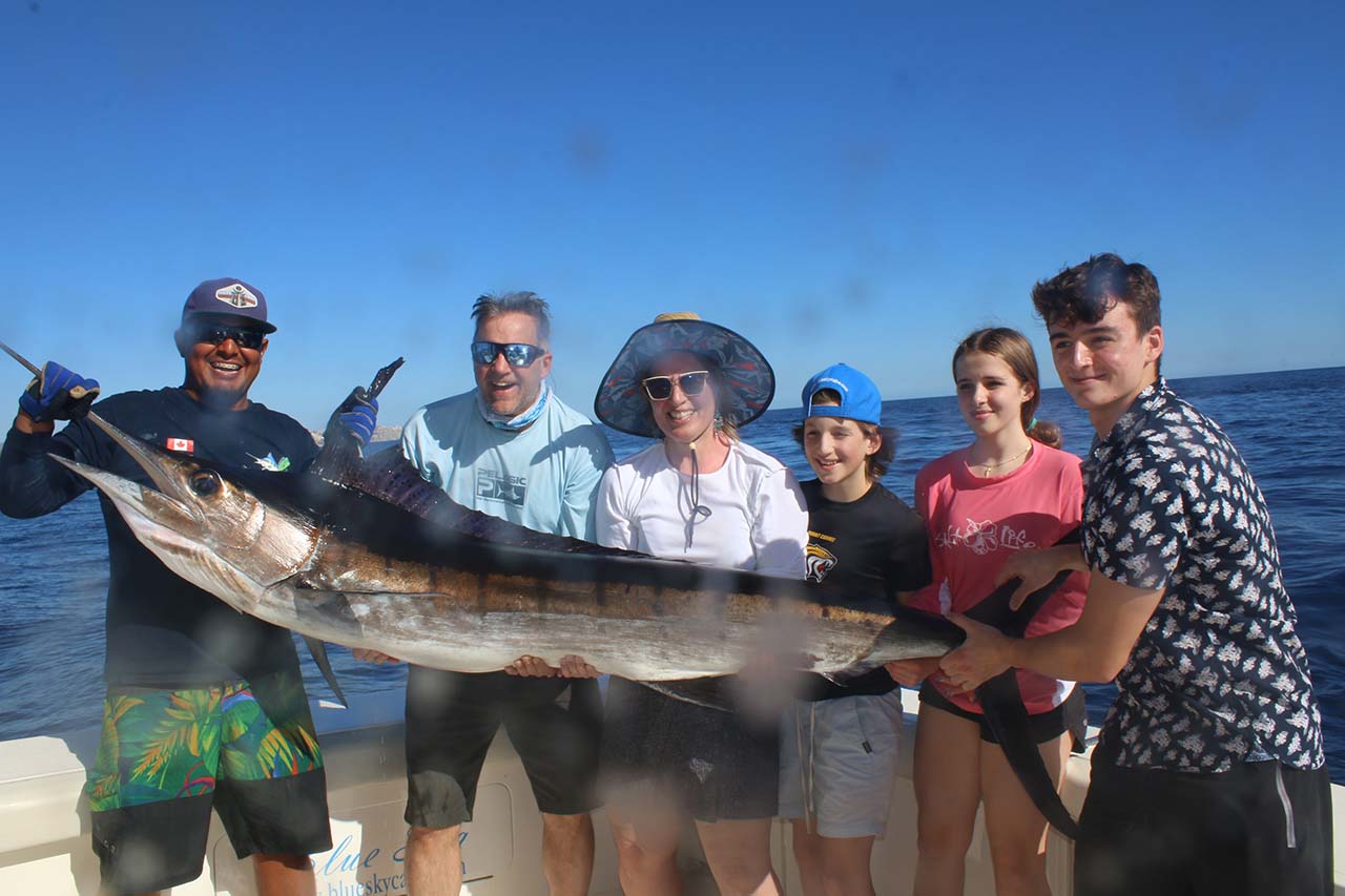 Cabo Striped Marlin Fishing Video