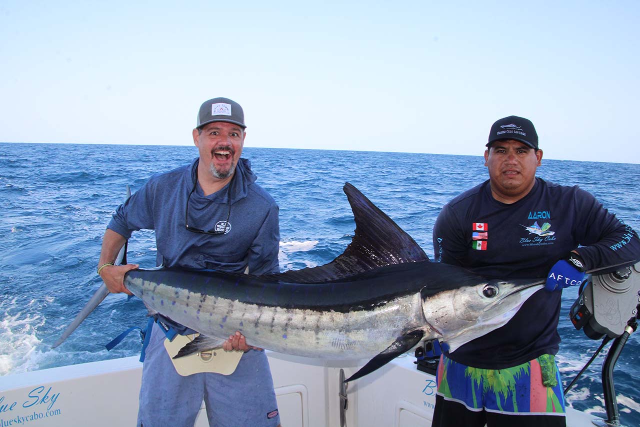 Cabo Striped Marlin Fishing Video