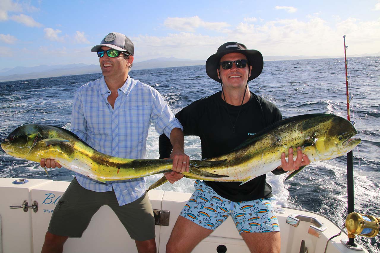 February Fishing Season in Cabo