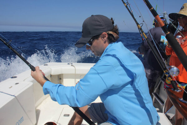 Fishing Charters In Cabo February