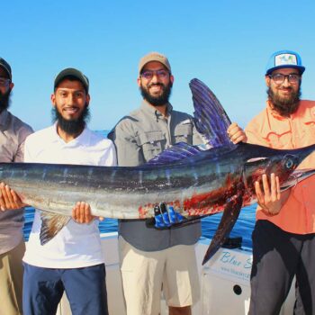 March Marlin Fishing In Cabo San Lucas