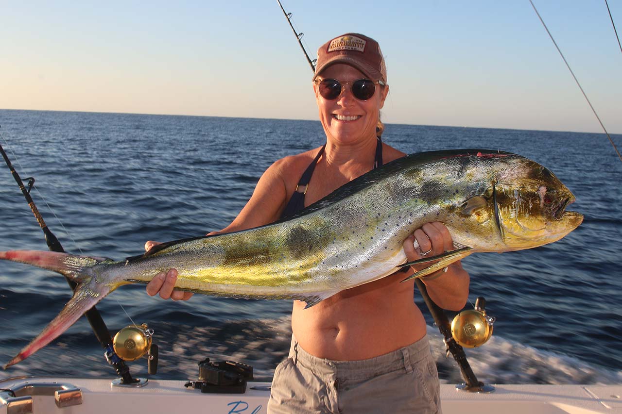 What Are the Best Fishing Charters in Cabo for February Trips