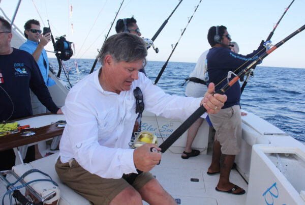 What Are the Best Fishing Charters in Cabo for February Trips