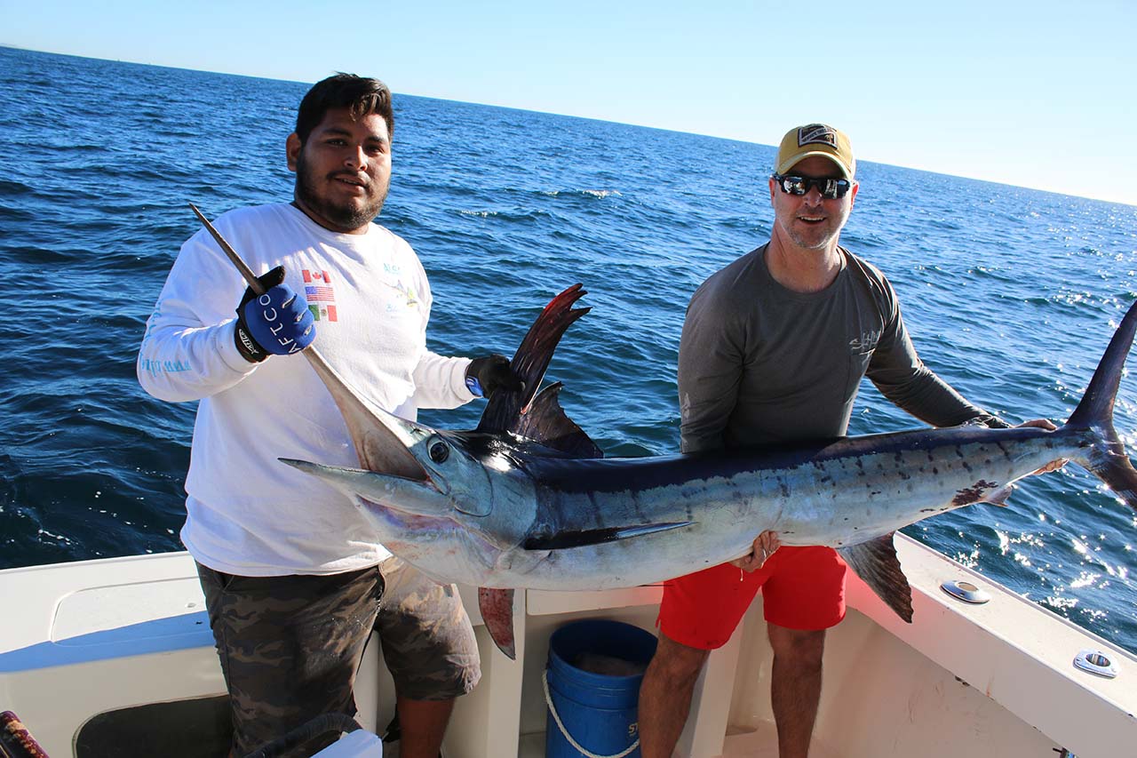 What Are the Odds of Catching a Marlin in Cabo