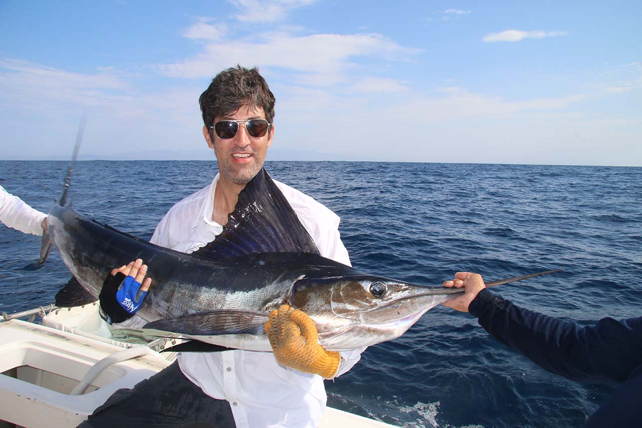 What Are the Odds of Catching a Marlin in Cabo