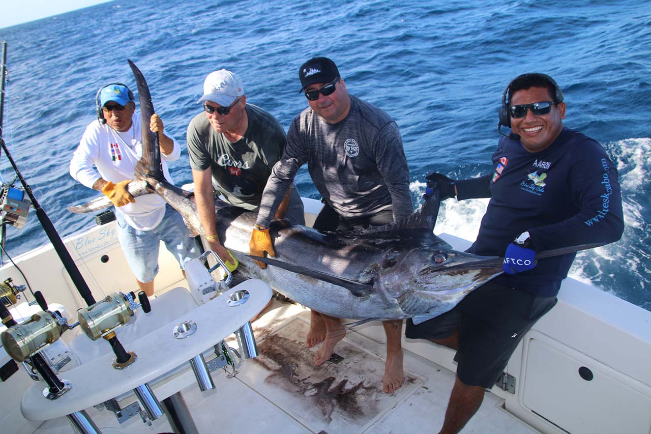 What Is the Best Fishing Charter in Cabo if I Want to Release Marlin Safely
