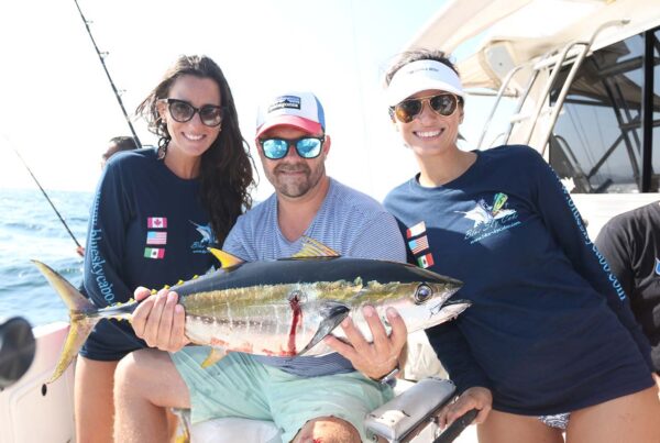 Yellowtail Fishing Cabo in February