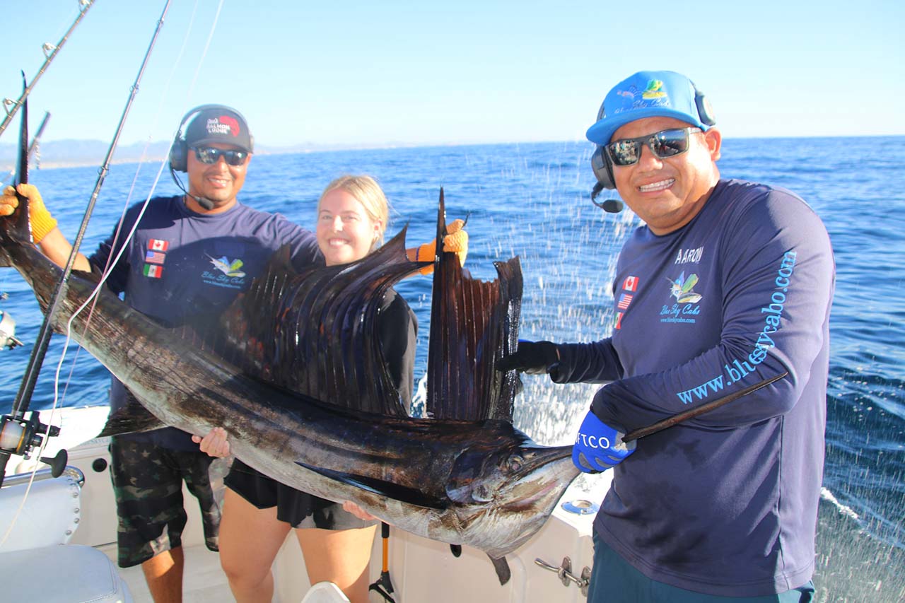 Are There Marlins in Cabo