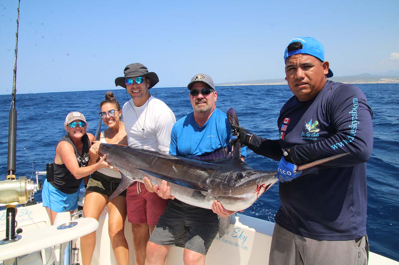 Are There Marlins in Cabo