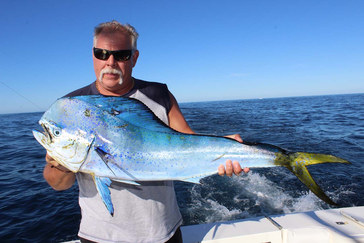 Best Cabo Fishing YouTube Clips