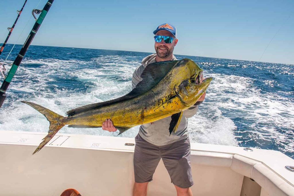 Blue Sea Dorado