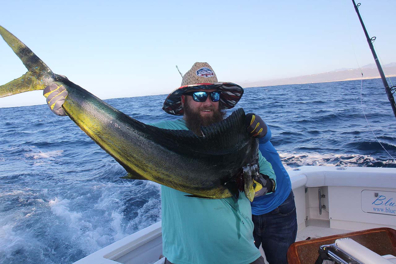 Cabo Fishing Deals in March
