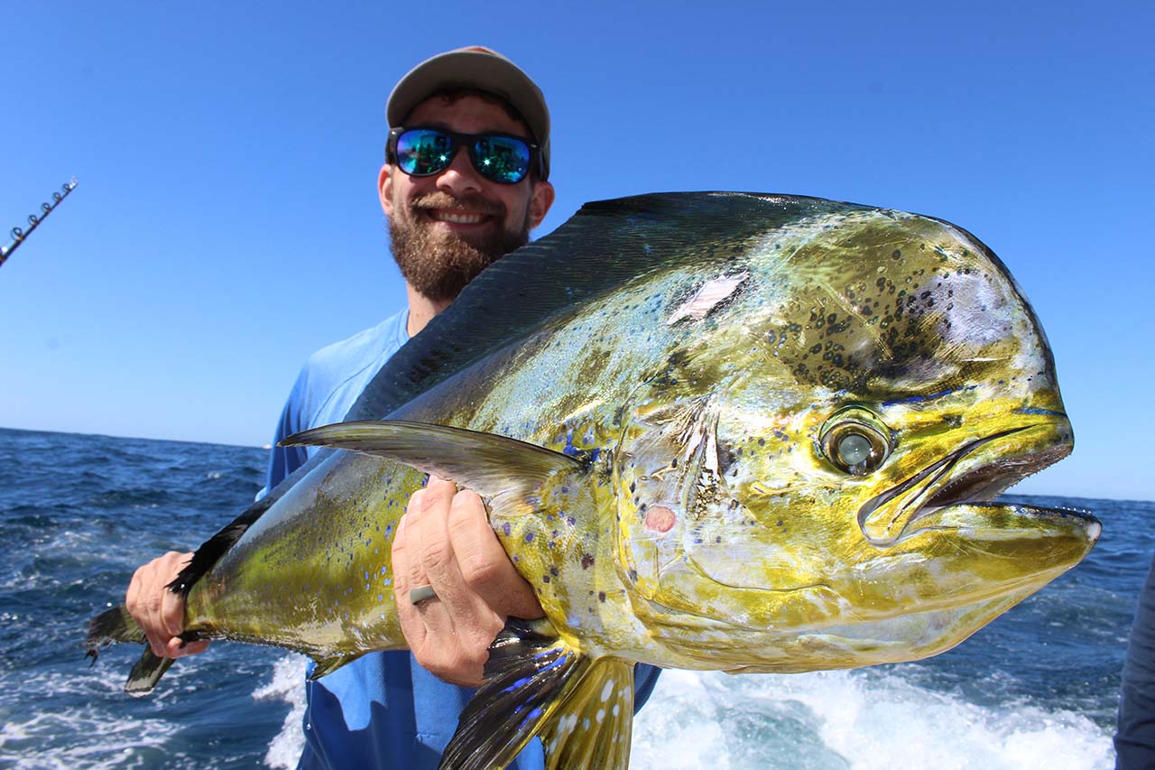 Cabo San Lucas Fishing Videos
