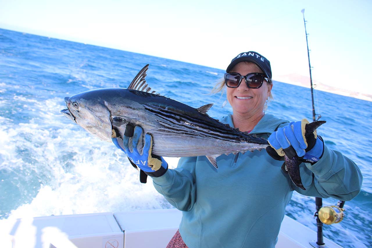 Cabo Tuna Fishing Video