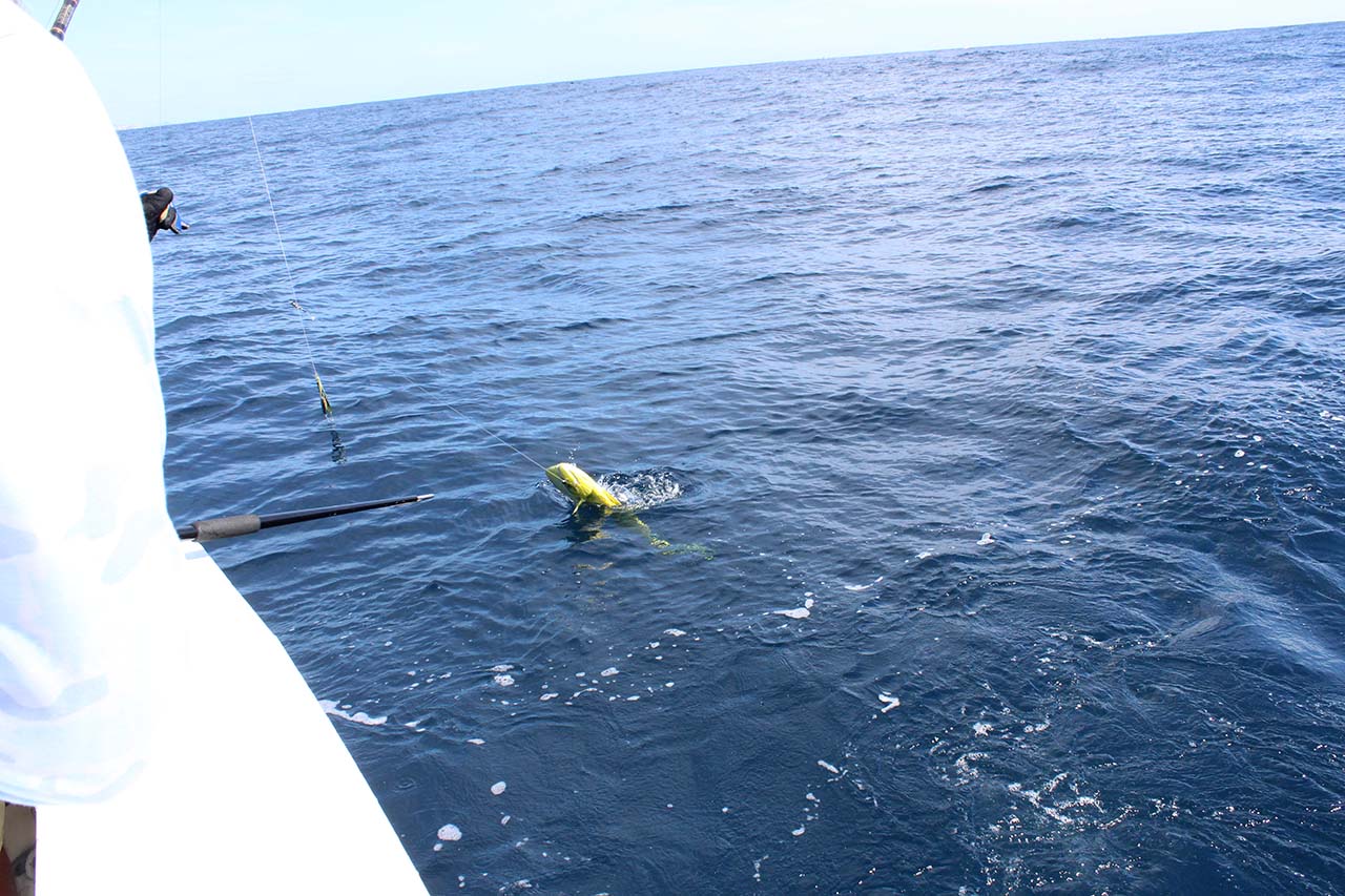 Fishing In Cabo In April Prices