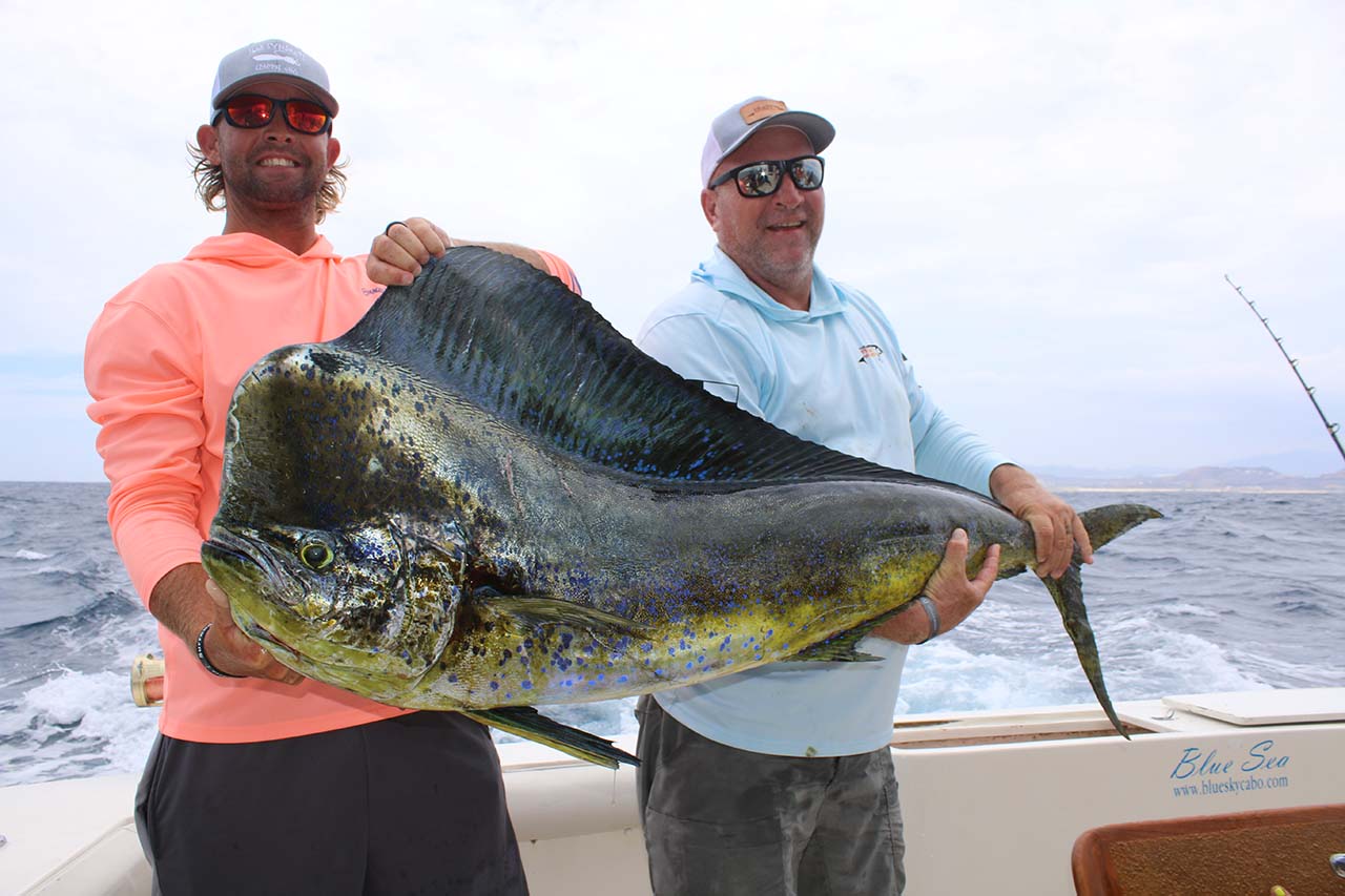 Is Cabo The Fishing Capital Of The World