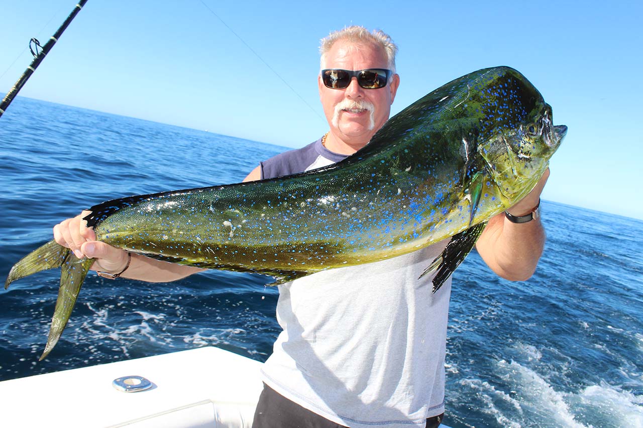 Is Fishing Good Year-Round in Cabo