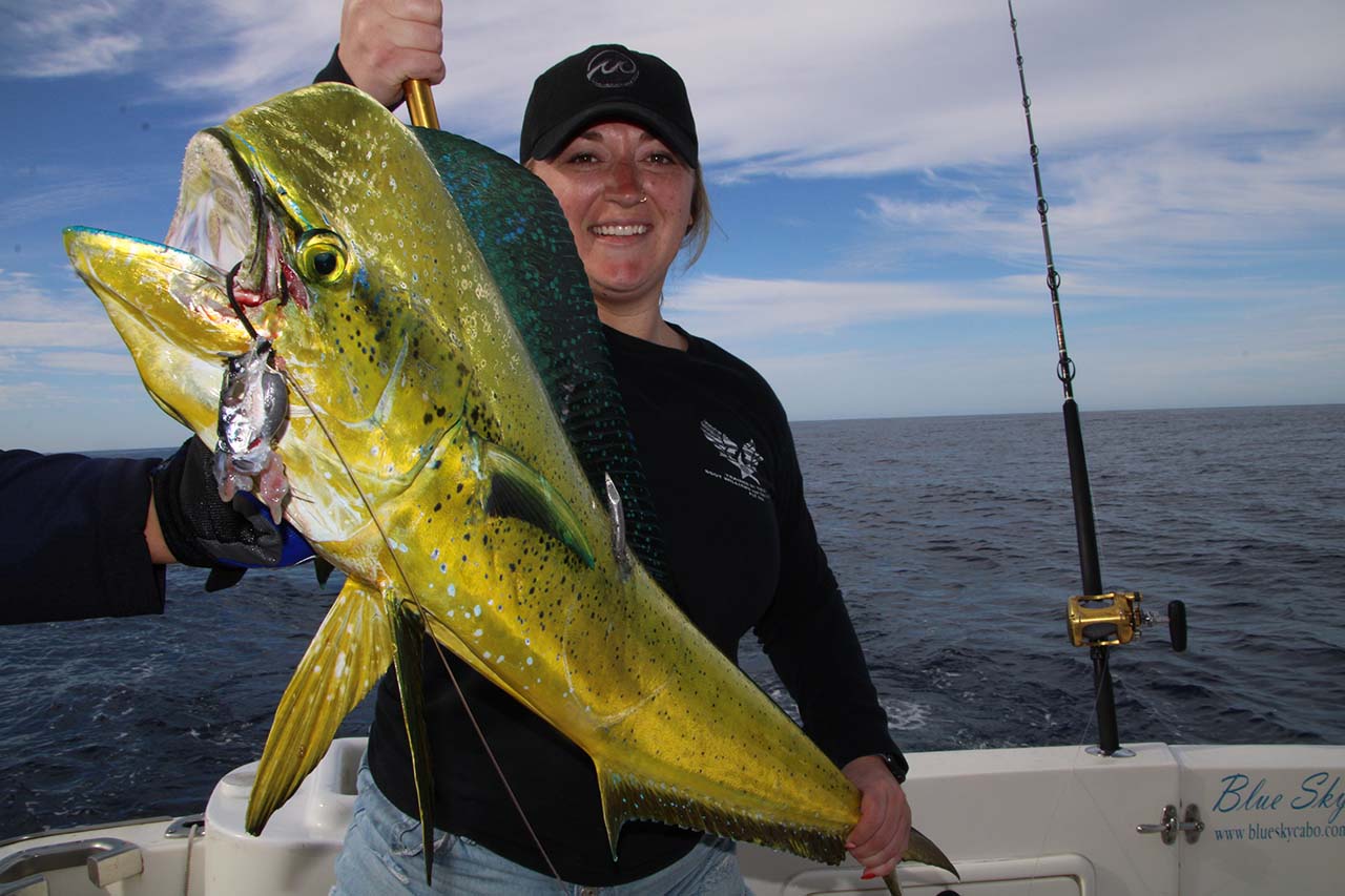 What Is the Average Catch Rate on Cabo San Lucas Fishing Trips