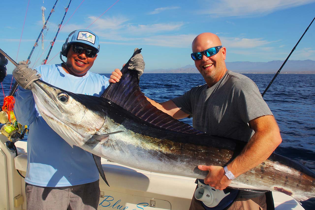 When Can You Catch a Marlin in Cabo