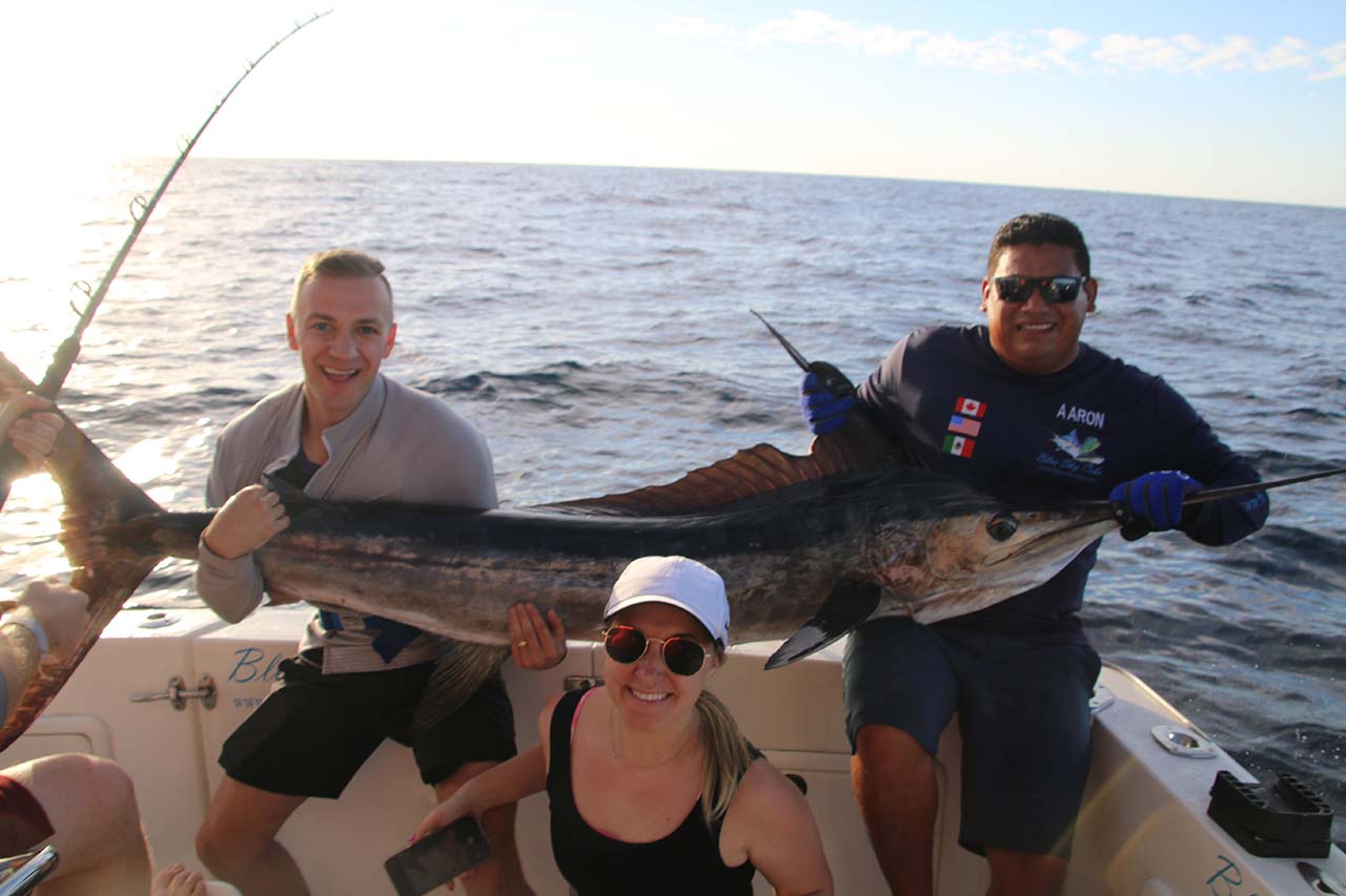 When Can You Catch a Marlin in Cabo