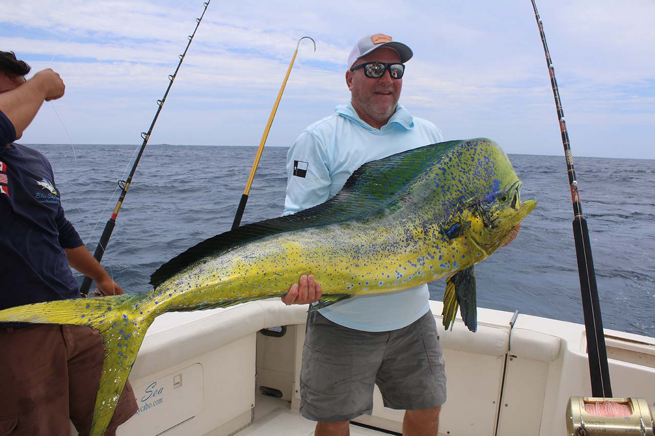 Cabo April Dorado Fishing Trip