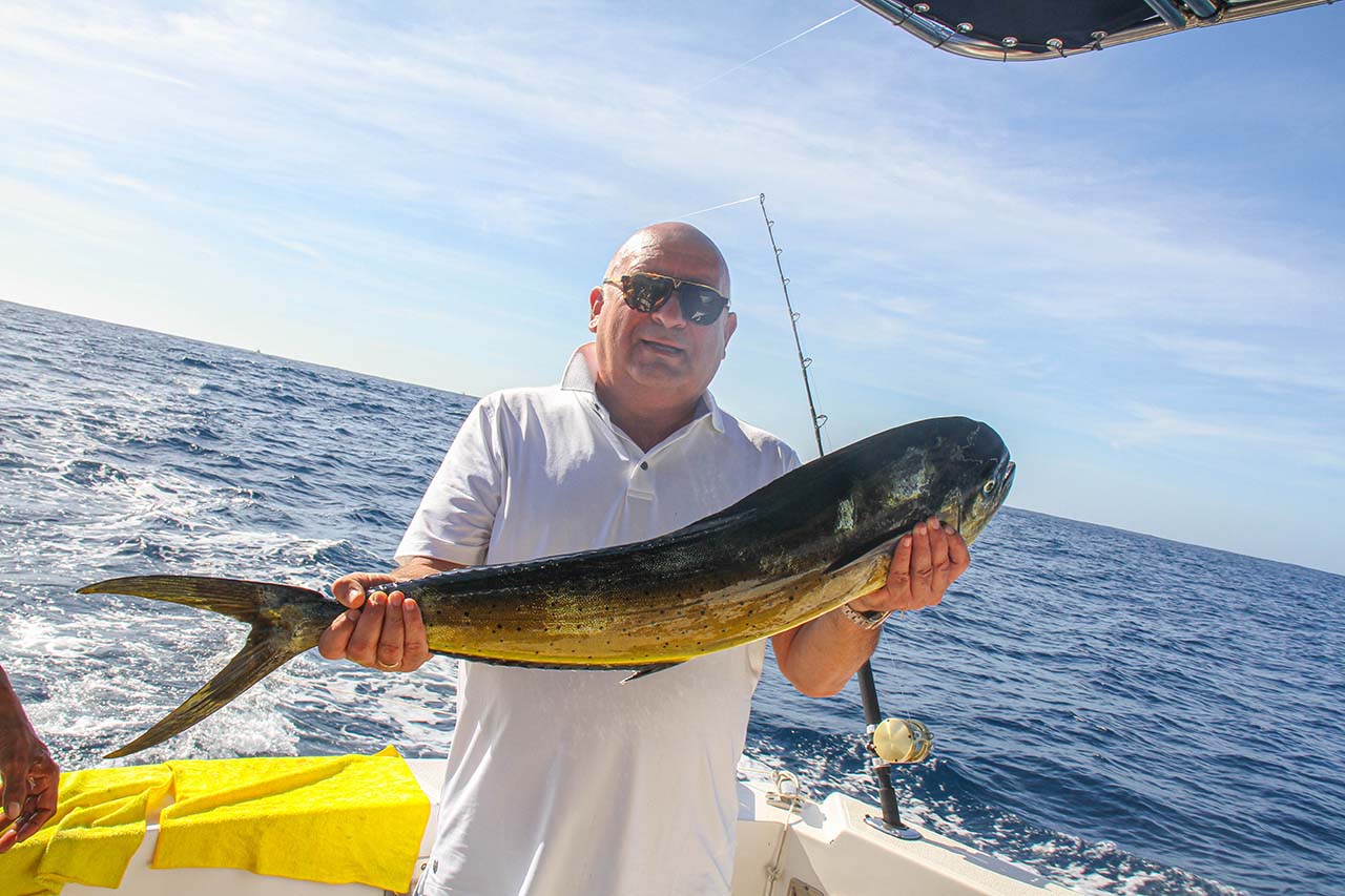 Cabo April Dorado Fishing Trip