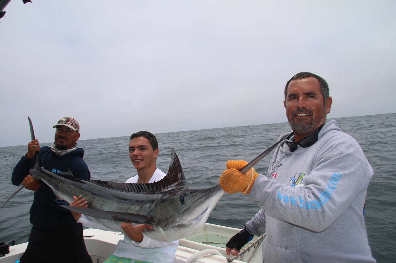 Cabo Deep Sea Fishing Calendar