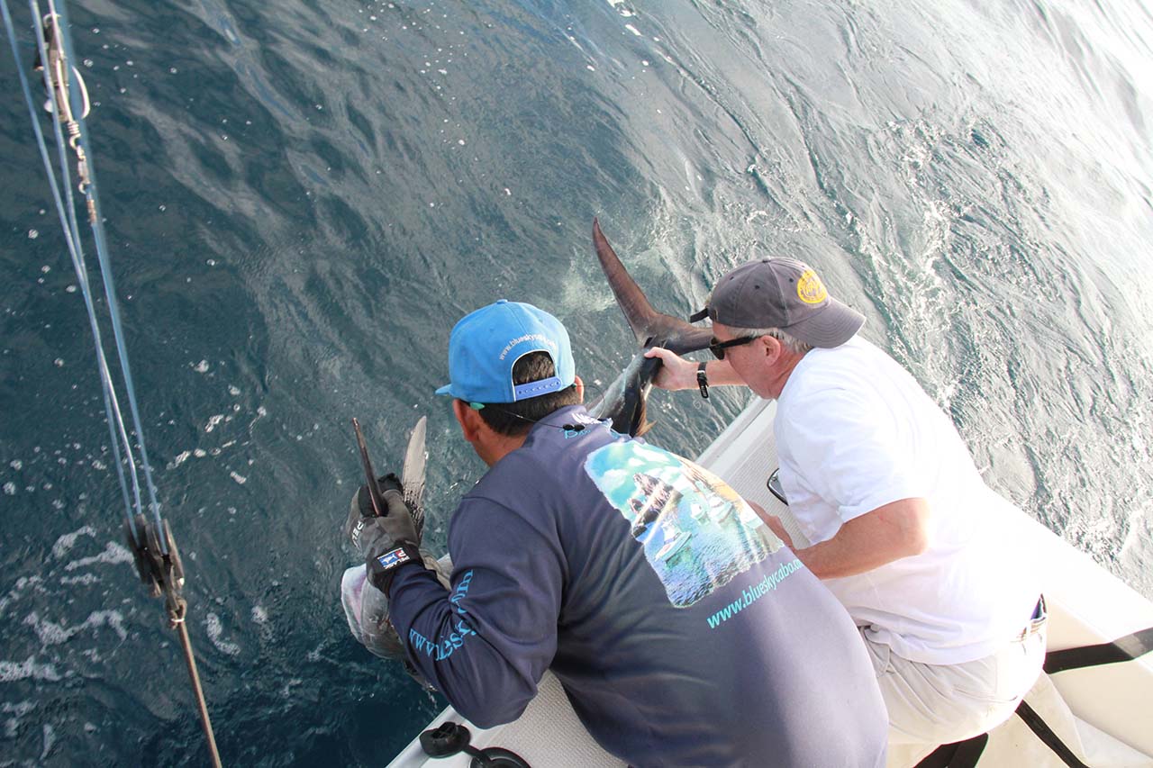 Cabo Fishing April Wind Conditions