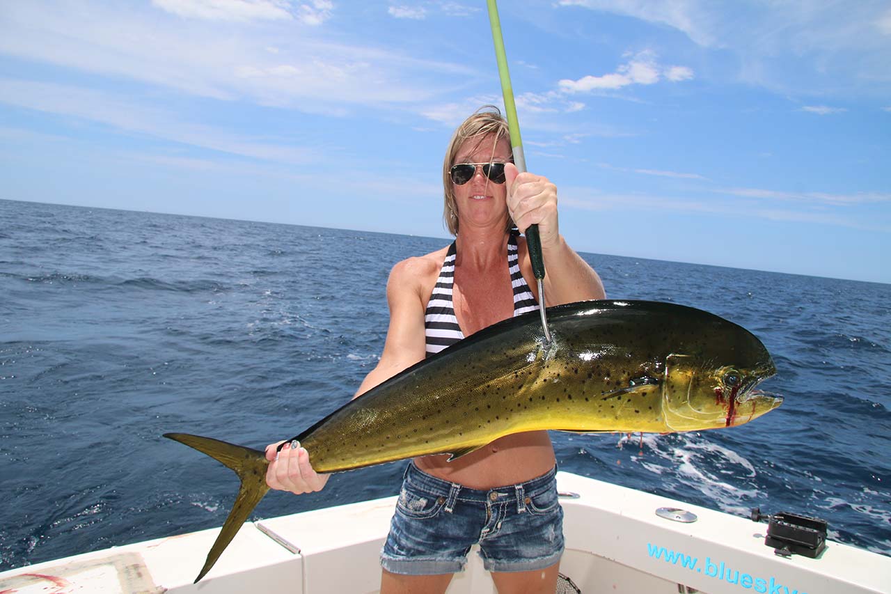Cabo Fishing Calendar Dorado Season