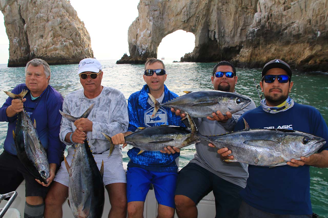 Cabo Fishing Calendar Tuna Season