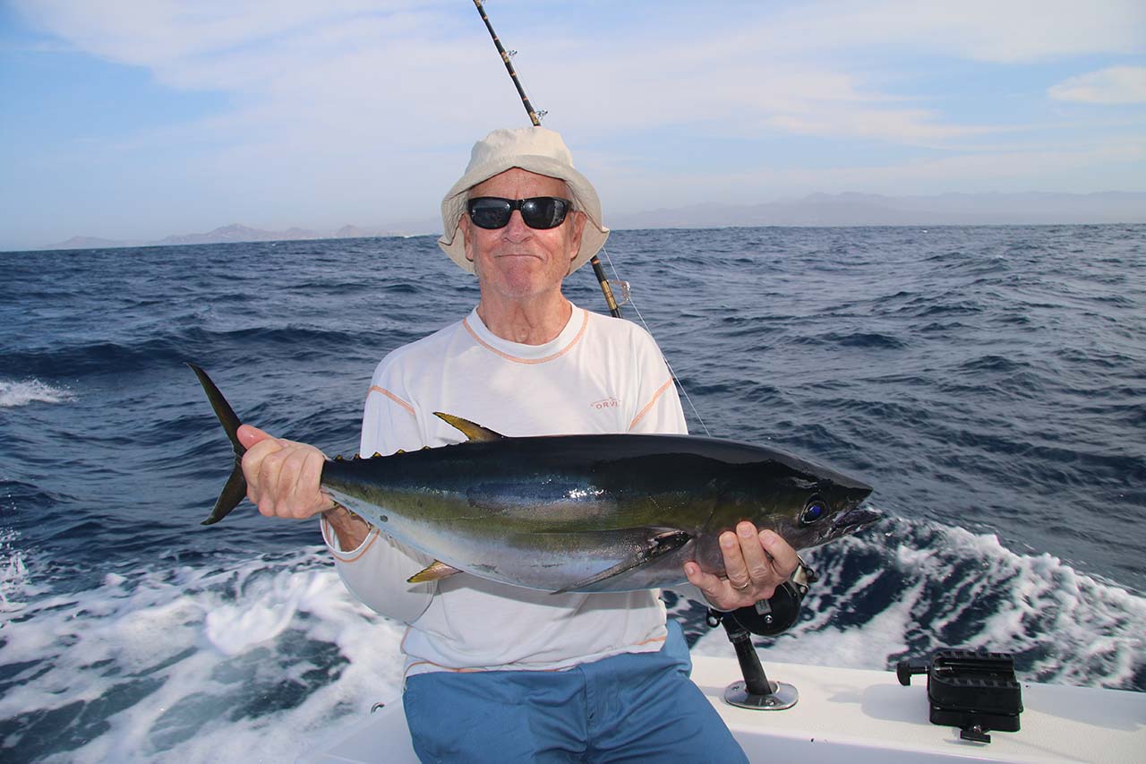 Cabo Fishing Calendar Tuna Season