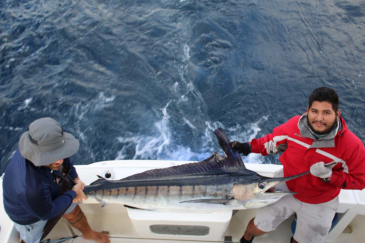 Cabo Fishing Guide Calendar