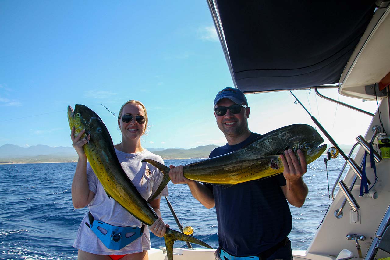 Cabo Fishing Schedule