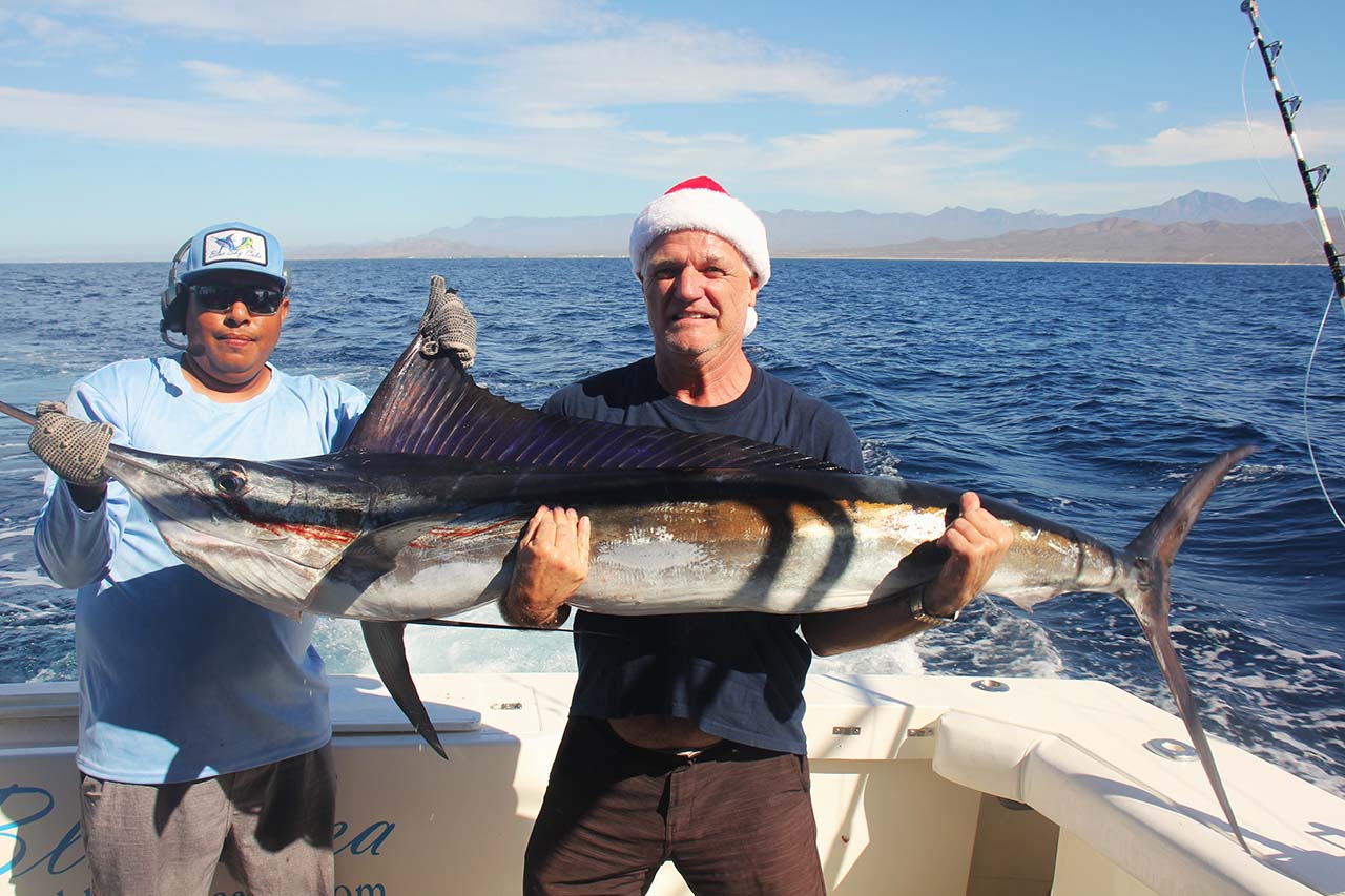 Cabo Fishing Seasons